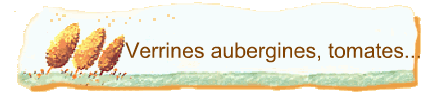 Verrines aubergines, tomates...