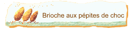 Brioche aux ppites de choc