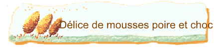 Dlice de mousses poire et choc