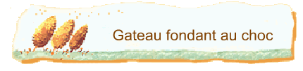 Gateau fondant au choc