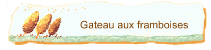 Gateau aux framboises