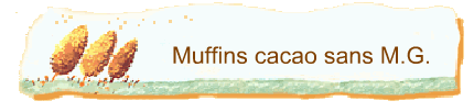 Muffins cacao sans M.G.