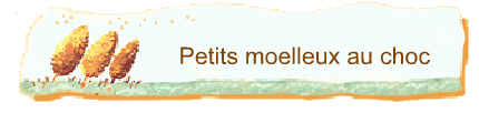 Petits moelleux au choc