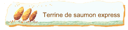 Terrine de saumon express