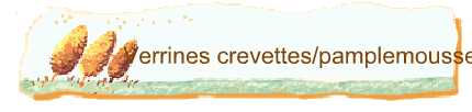 Verrines crevettes/pamplemousse