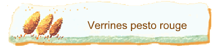 Verrines pesto rouge